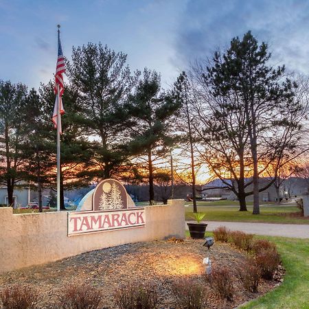 Отель Tamarack Wisconsin Dells, A Ramada By Wyndham Lake Delton Экстерьер фото