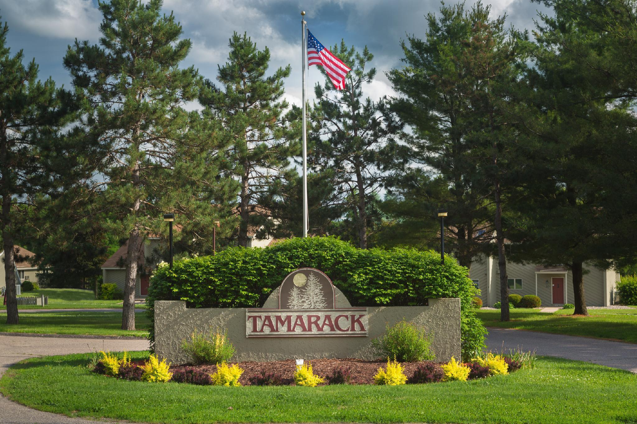 Отель Tamarack Wisconsin Dells, A Ramada By Wyndham Lake Delton Экстерьер фото